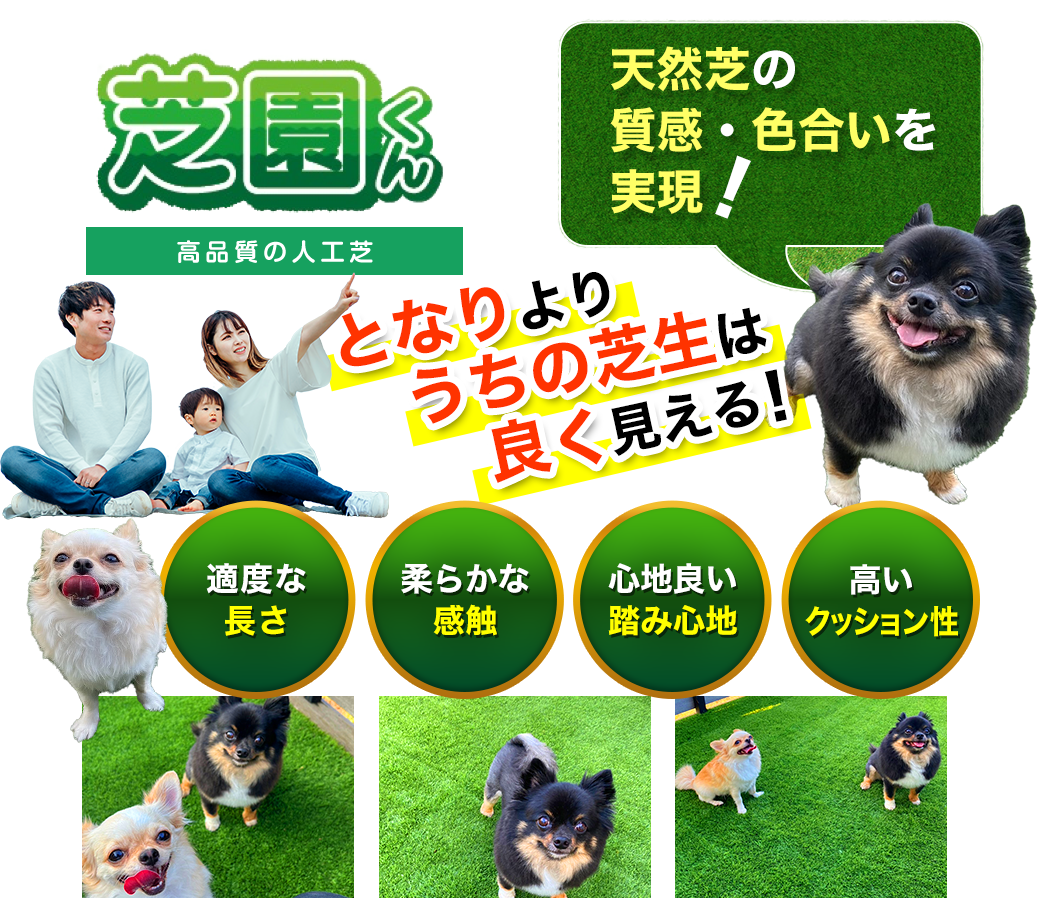 高品質の人工芝【芝園くん】天然芝の質感・色合いを実現!適度な長さ。柔らかな感触。心地良い踏み心地。高いクッション性。総合園材株式会社